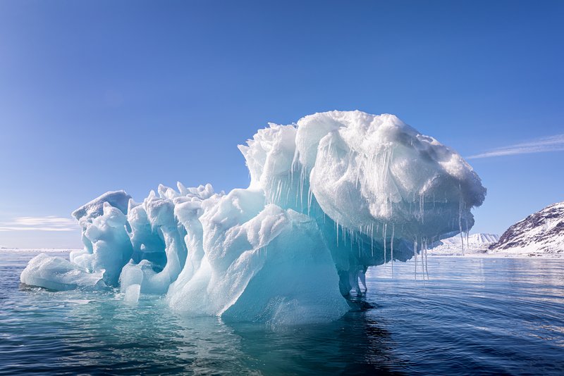 Neutralité climatique