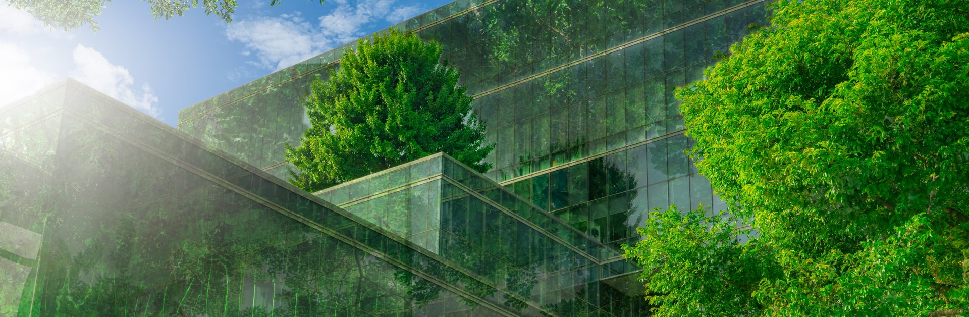 [Translate to French:] bizhub eco