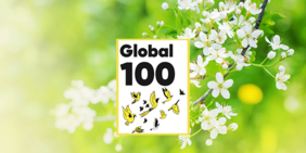 Image Global 100