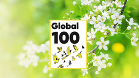 Konica Minolta Global 100