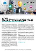 Report Sicherheitstest von NTT