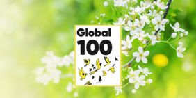 Image Global 100